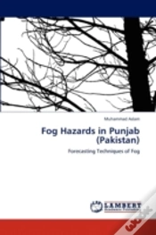 Capa do artigo Fog Hazards In Punjab (Pakistan)