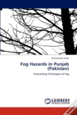 Capa do artigo Fog Hazards In Punjab (Pakistan)
