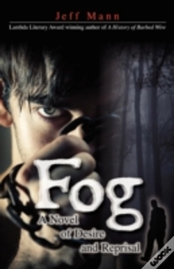 Capa do artigo Fog