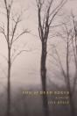 Fog Of Dead Souls - Preview
