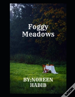 Capa do artigo Foggy Meadows