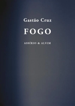 Capa do artigo Fogo