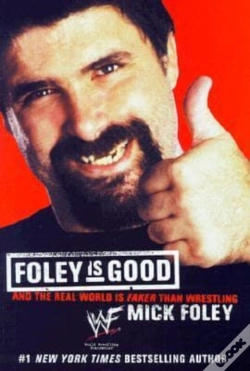 Capa do artigo Foley Is Good