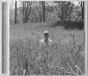 Folklore - CD - Preview
