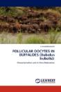 Follicular Oocytes In Buffaloes (Bubalus Bubalis) - Preview
