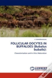 Capa do artigo Follicular Oocytes In Buffaloes (Bubalus Bubalis)