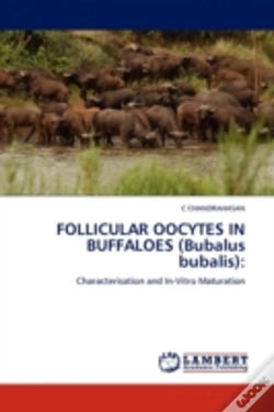 Capa do artigo Follicular Oocytes In Buffaloes (Bubalus Bubalis)