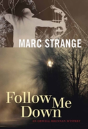 Follow Me Down - Preview