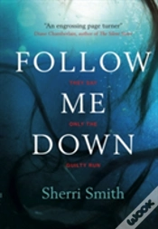 Capa do artigo Follow Me Down
