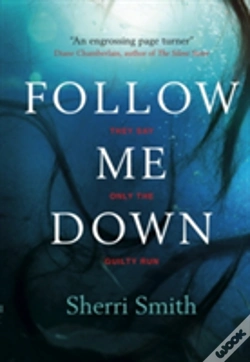 Capa do artigo Follow Me Down