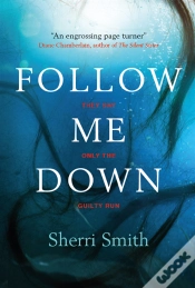 Capa do artigo Follow Me Down