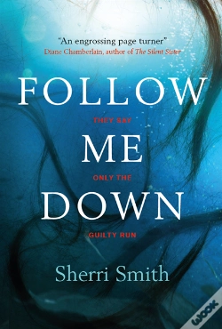 Capa do artigo Follow Me Down