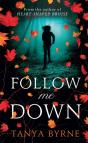 Follow Me Down - Preview