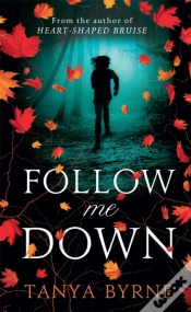 Capa do artigo Follow Me Down