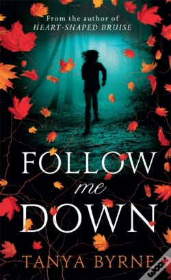 Capa do artigo Follow Me Down