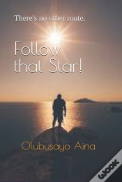 Capa do artigo Follow That Star!