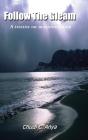 Follow The Gleam - Preview