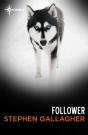 Follower - Preview