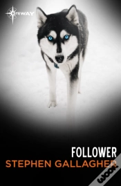 Capa do artigo Follower