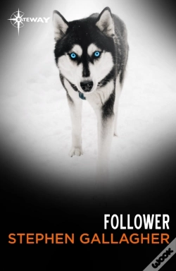 Capa do artigo Follower