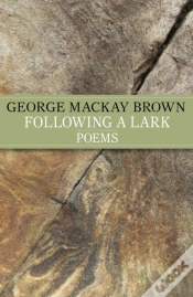 Capa do artigo Following A Lark
