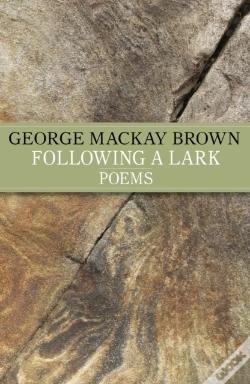 Capa do artigo Following A Lark