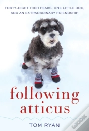 Capa do artigo Following Atticus