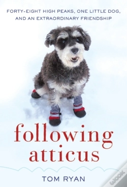 Capa do artigo Following Atticus