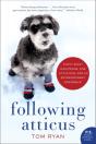 Following Atticus - Preview