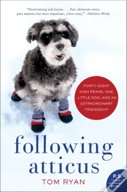 Capa do artigo Following Atticus