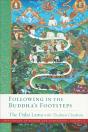 Following In The Buddha'S Footsteps - Preview
