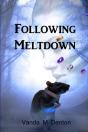 Following Meltdown - Preview