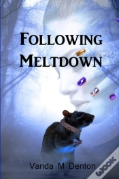 Capa do artigo Following Meltdown