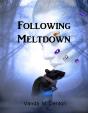 Following Meltdown - Preview