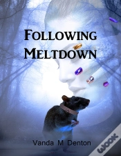 Capa do artigo Following Meltdown