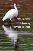Following Rivers In Trees