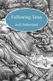 Capa do artigo Following Teisa