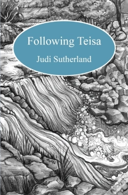 Capa do artigo Following Teisa