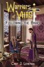 Following The Braid - Preview