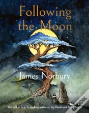 Capa do artigo Following The Moon