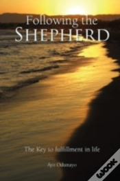 Capa do artigo Following The Shepherd