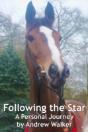 Following The Star - Preview