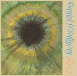 Capa do artigo Folly - Vinil