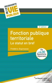 Capa do artigo Fonction Publique Territoriale : Le Statut En Bref