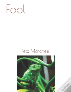 Capa do artigo Fool
