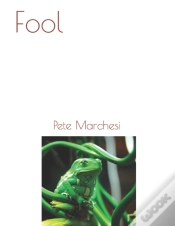 Capa do artigo Fool