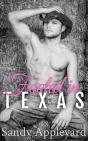Fooled In Texas - Preview