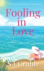 Fooling In Love - Preview