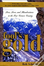 Capa do artigo Fools Gold