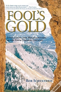 Capa do artigo Fool'S Gold